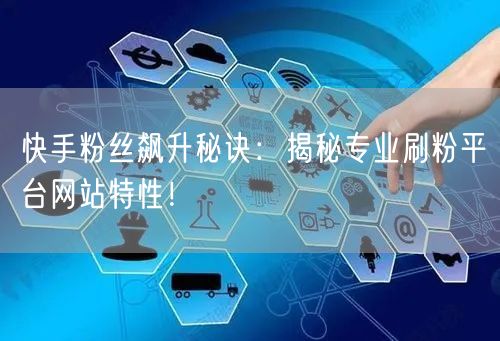 快手粉丝飙升秘诀:揭秘专业刷粉平台网站特性!