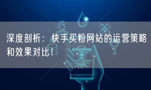 深度剖析:快手买粉网站的运营策略和效果对比!
