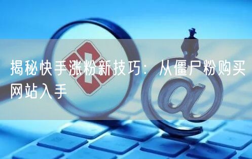 揭秘快手涨粉新技巧:从僵尸粉购买网站入手
