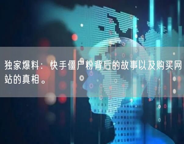 独家爆料:快手僵尸粉背后的故事以及购买网站的真相。