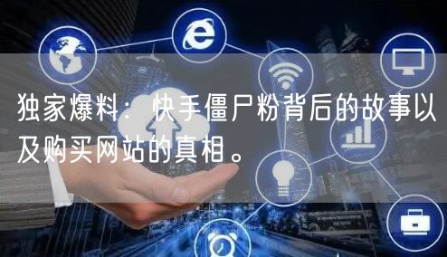 独家爆料:快手僵尸粉背后的故事以及购买网站的真相。