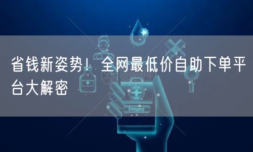 省钱新姿势!全网最低价自助下单平台大解密