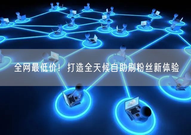 全网最低价!打造全天候自助刷粉丝新体验