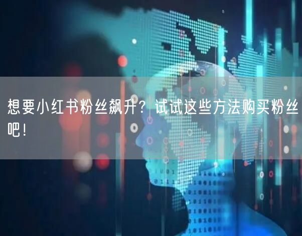 想要小红书粉丝飙升?试试这些方法购买粉丝吧!