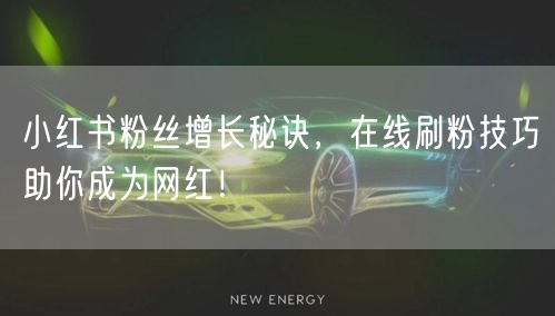 小红书粉丝增长秘诀,在线刷粉技巧助你成为网红!