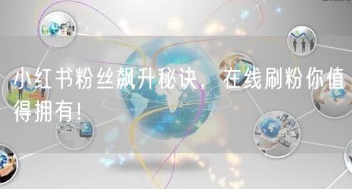小红书粉丝飙升秘诀,在线刷粉你值得拥有!
