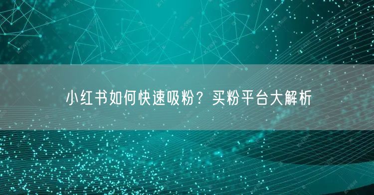 小红书如何快速吸粉?买粉平台大解析