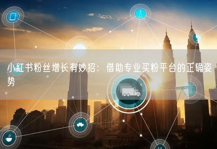 小红书粉丝增长有妙招:借助专业买粉平台的正确姿势