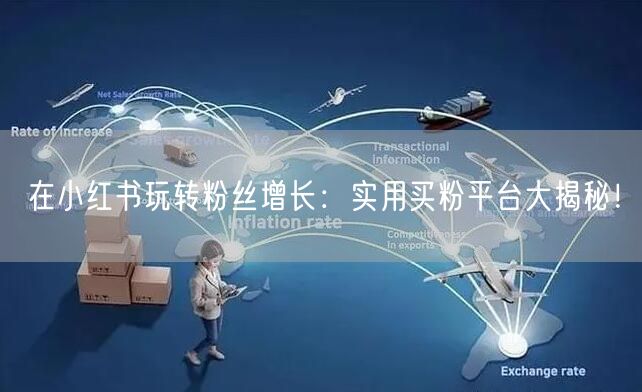 在小红书玩转粉丝增长:实用买粉平台大揭秘!