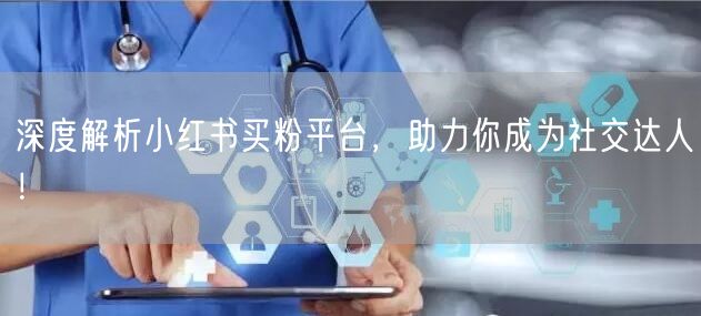 深度解析小红书买粉平台,助力你成为社交达人!