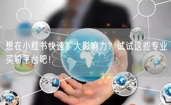 想在小红书快速扩大影响力?试试这些专业买粉平台吧!