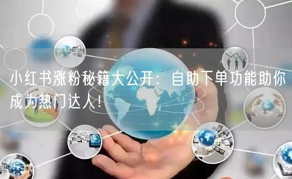 小红书涨粉秘籍大公开:自助下单功能助你成为热门达人!