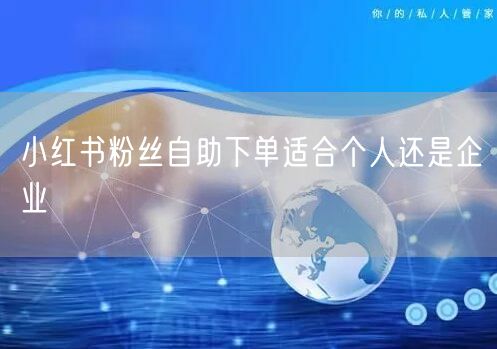 小红书粉丝自助下单适合个人还是企业