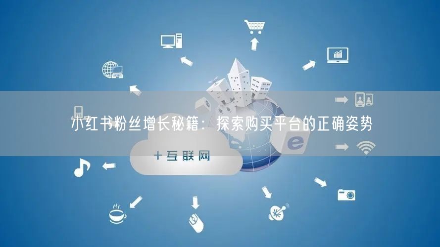 小红书粉丝增长秘籍：探索购买平台的正确姿势