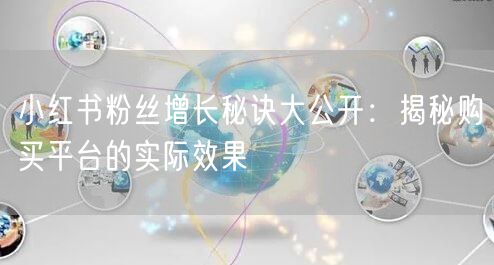 小红书粉丝增长秘诀大公开:揭秘购买平台的实际效果