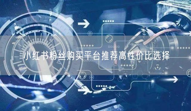 小红书粉丝购买平台推荐高性价比选择