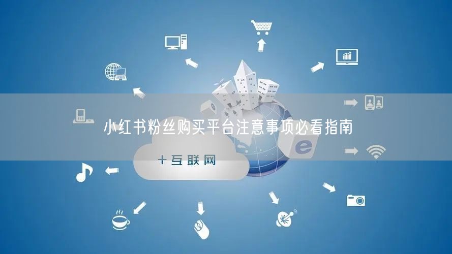 小红书粉丝购买平台注意事项必看指南