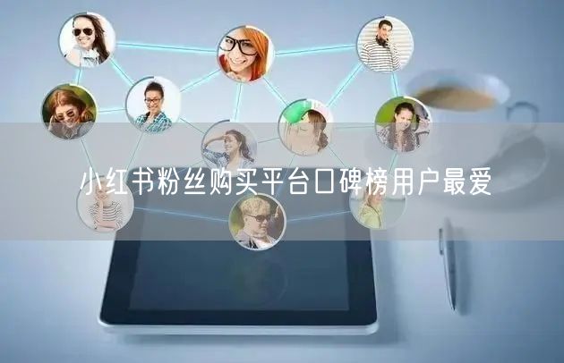 小红书粉丝购买平台口碑榜用户最爱